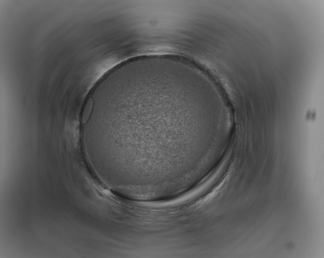 X0000095901457200801111158