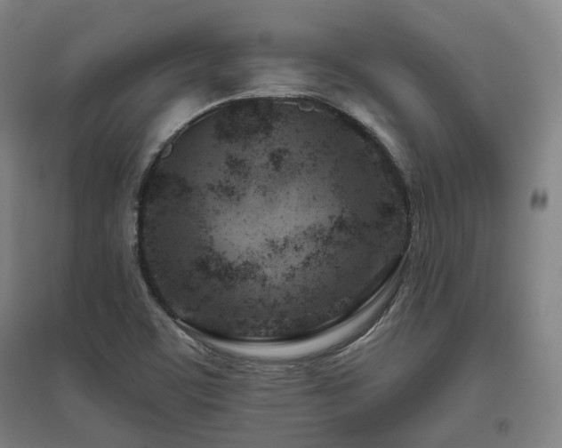 X0000095901459200801111158