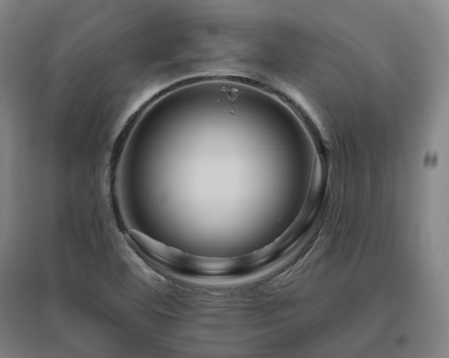 X0000095901460200801111158