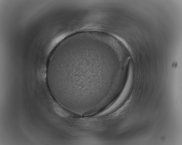 X0000095901461200801111158