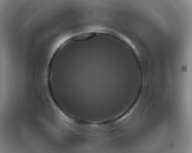 X0000095901463200801111158