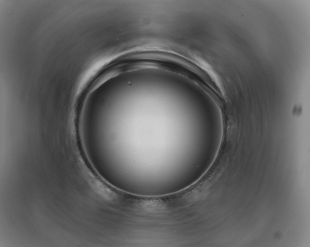 X0000095901464200801111158