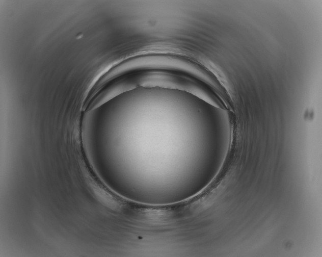 X0000095901465200801111158