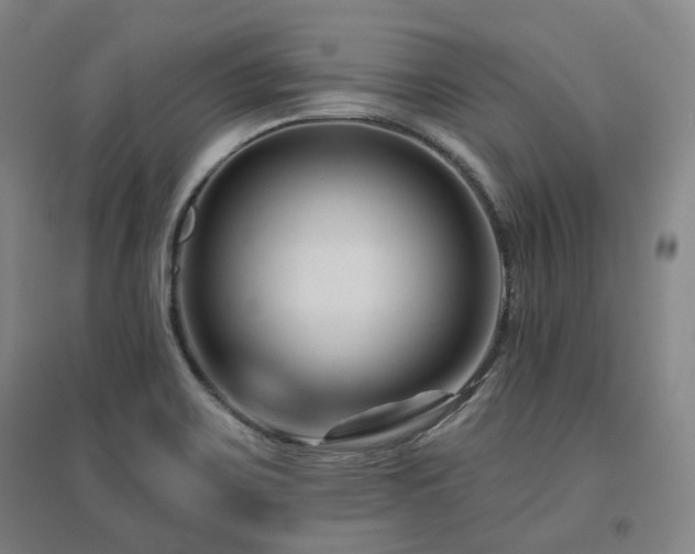 X0000095901467200801111158