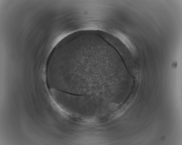 X0000095901468200801111158