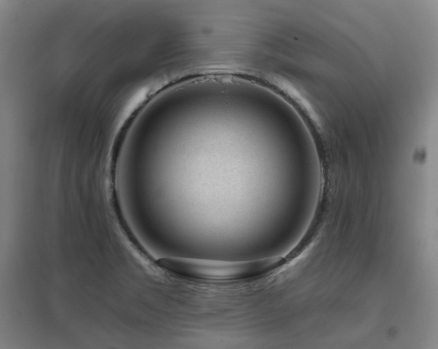 X0000095901469200801111158