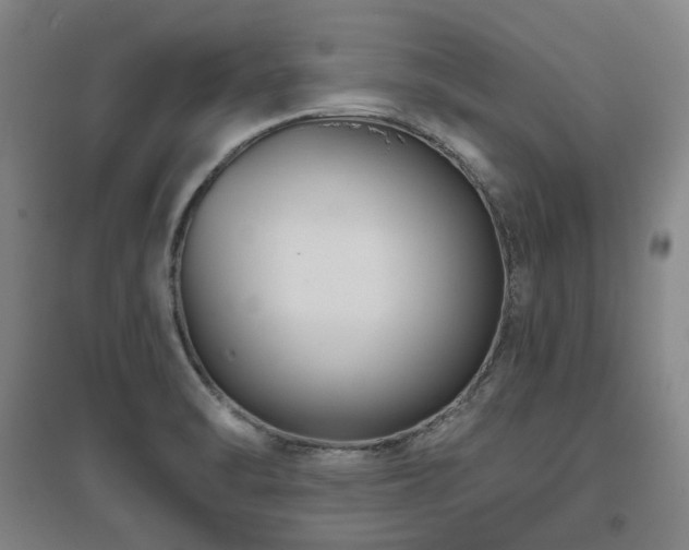 X0000095901470200801111158