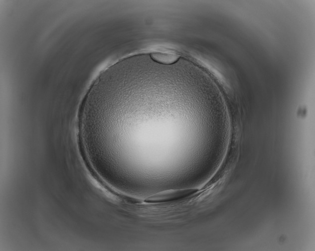 X0000095901471200801111158
