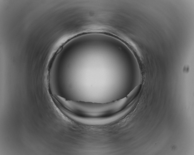 X0000095901472200801111158
