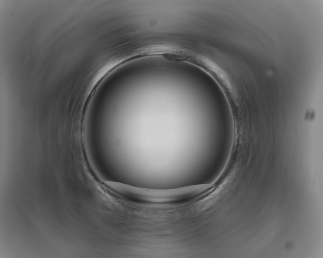 X0000095901473200801111158