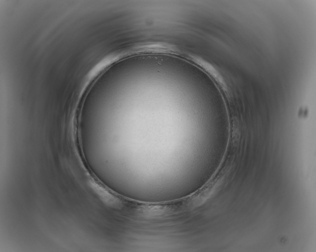 X0000095901474200801111158