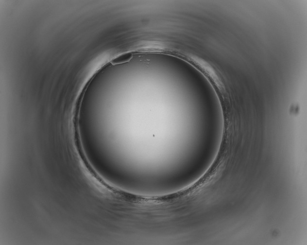 X0000095901475200801111158