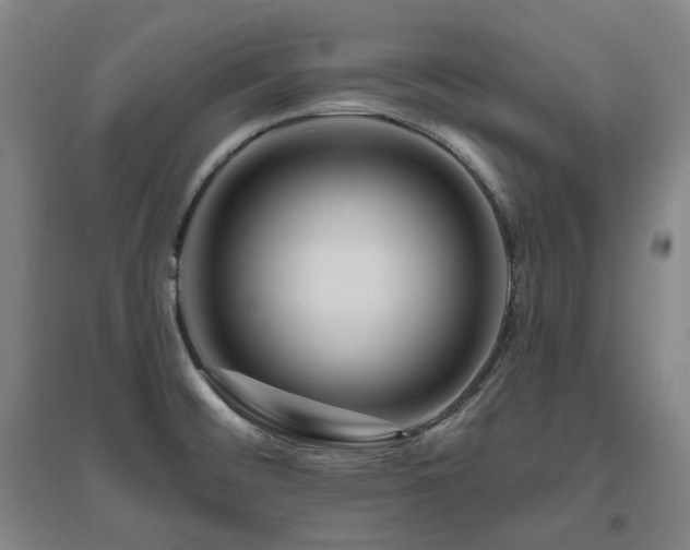X0000095901476200801111158