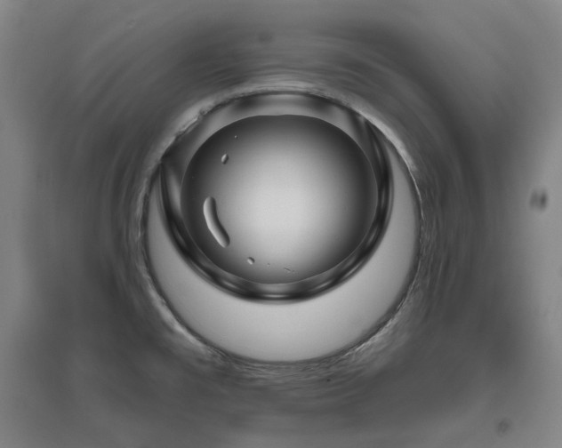 X0000095901477200801111158