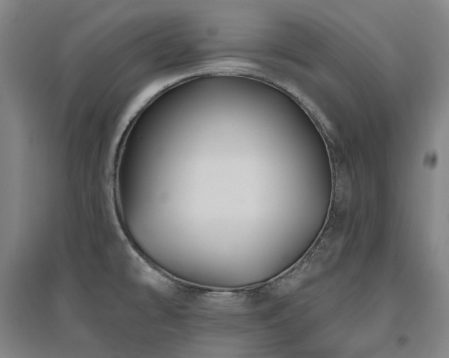 X0000095901478200801111158