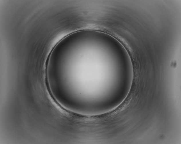 X0000095901479200801111158