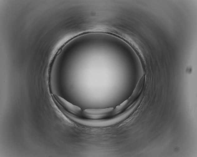 X0000095901480200801111158
