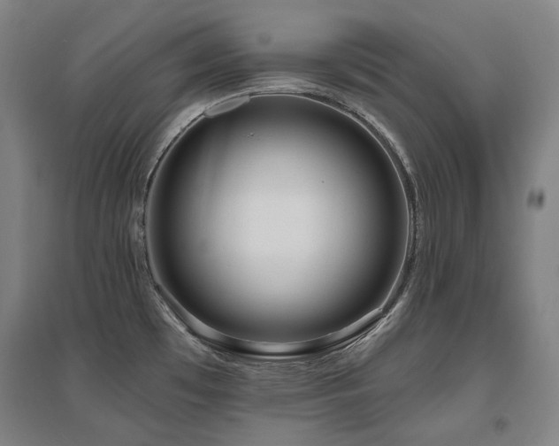X0000095901481200801111158
