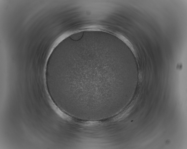 X0000095901482200801111158