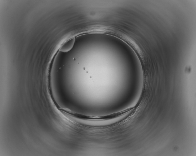X0000095901483200801111158