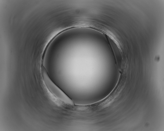X0000095901484200801111158