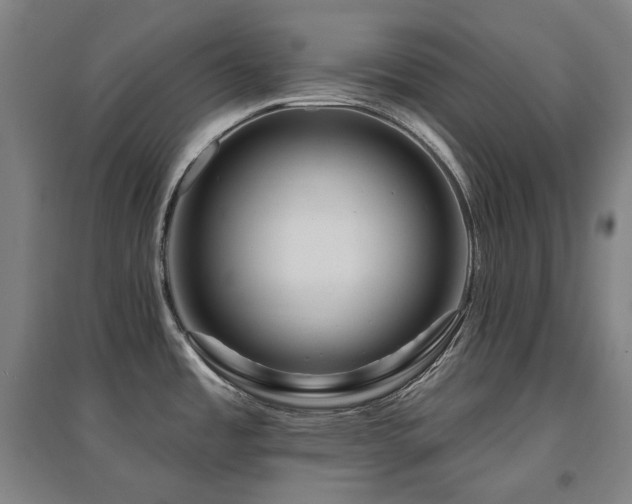 X0000095901485200801111158