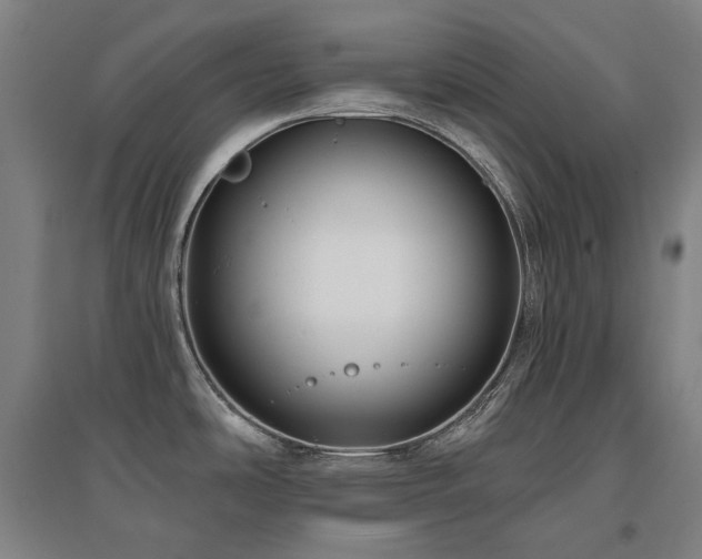 X0000095901486200801111158