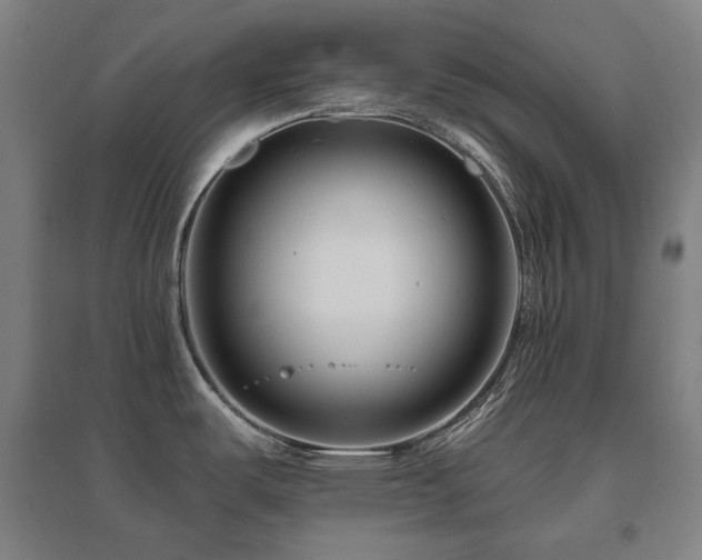 X0000095901487200801111158