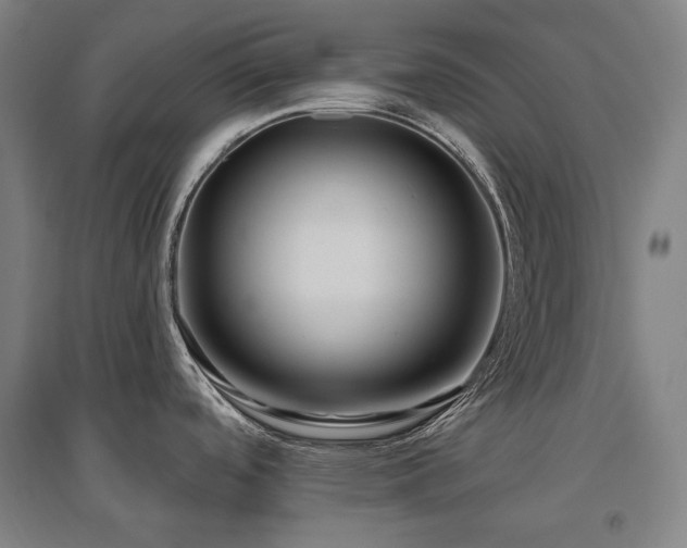 X0000095901488200801111158