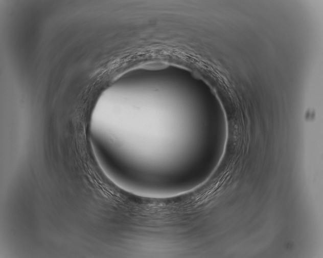 X0000095901489200801111157