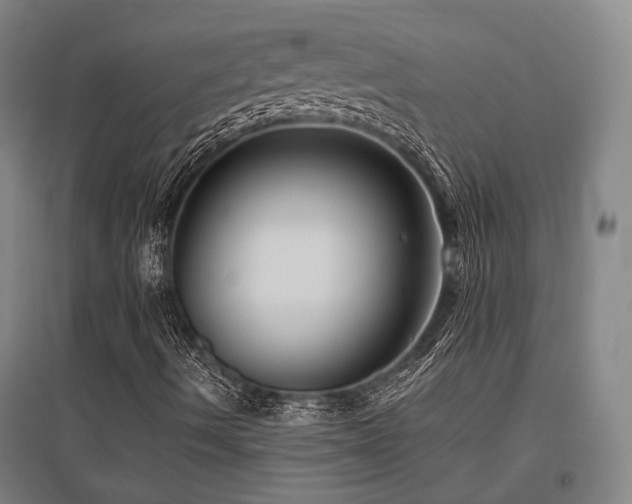 X0000095901490200801111157