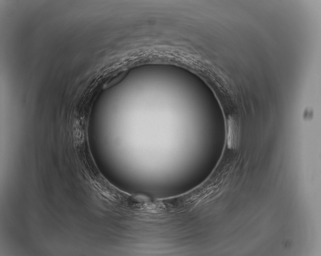 X0000095901491200801111157