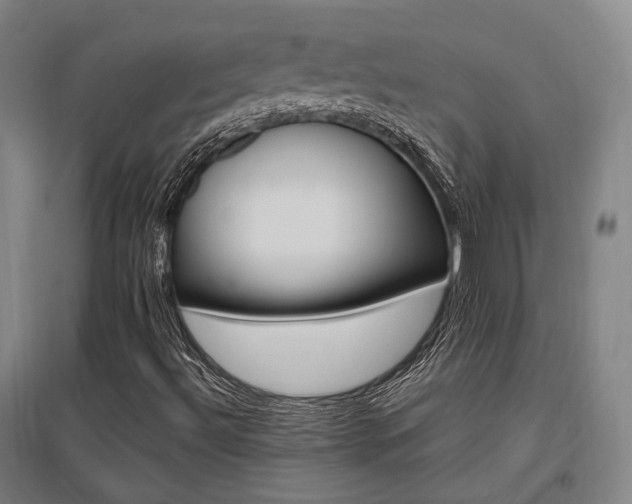 X0000095901492200801111157