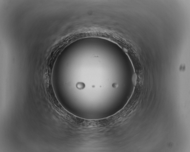 X0000095901493200801111157