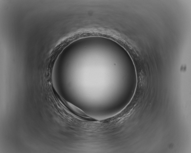 X0000095901494200801111157