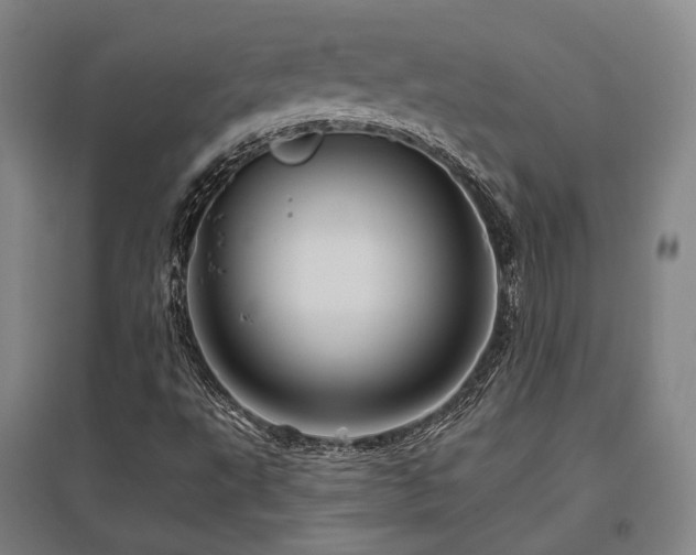 X0000095901495200801111157