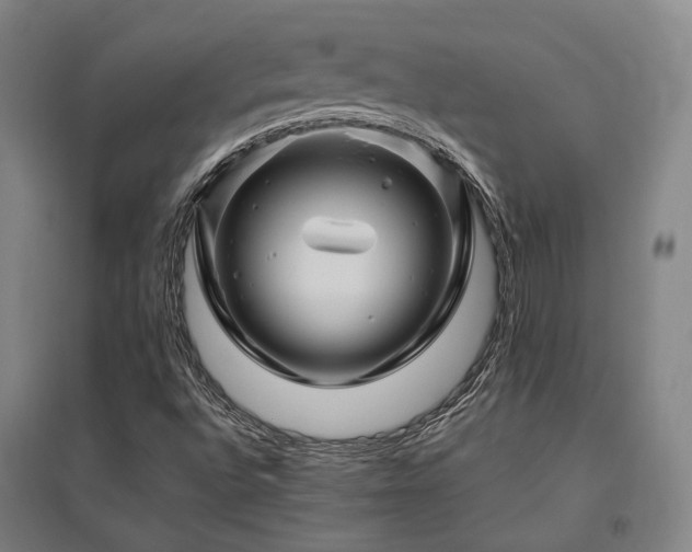 X0000095901496200801111157