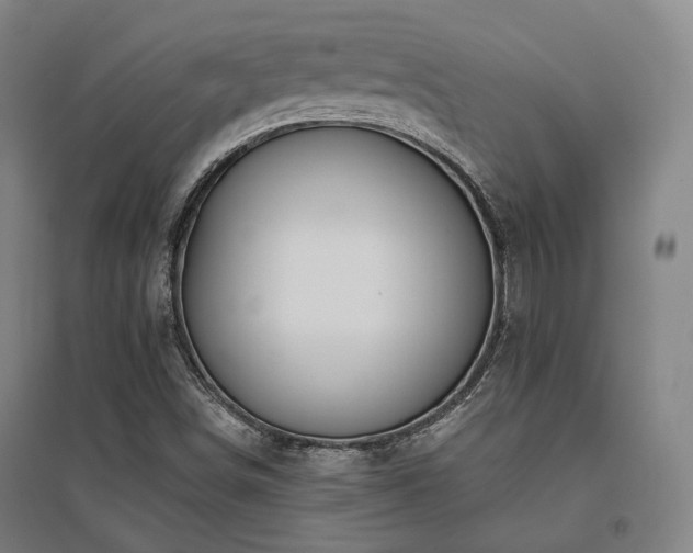 X0000095901498200801111157