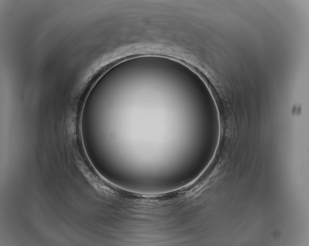 X0000095901499200801111157