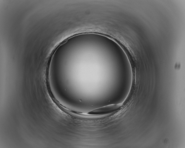 X0000095901500200801111157
