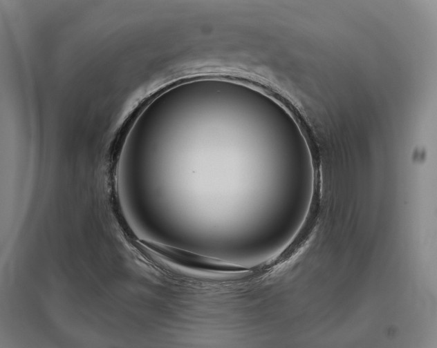 X0000095901501200801111157