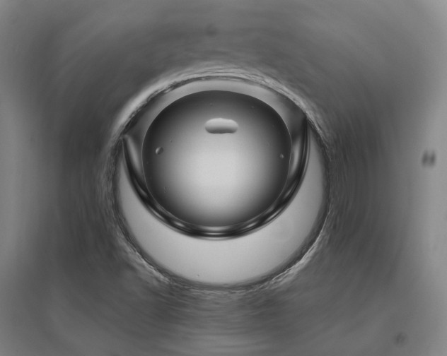 X0000095901502200801111157
