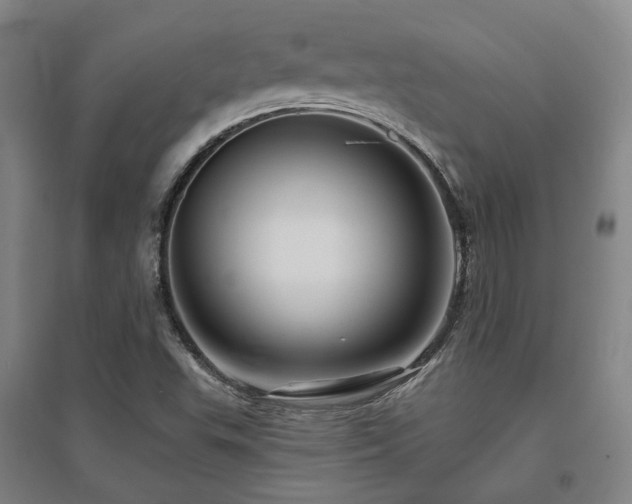 X0000095901503200801111157