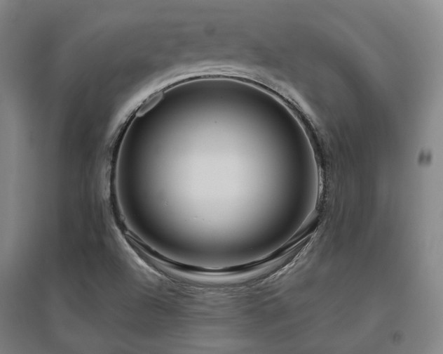X0000095901504200801111157