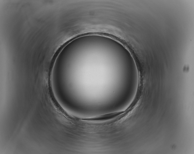 X0000095901505200801111157