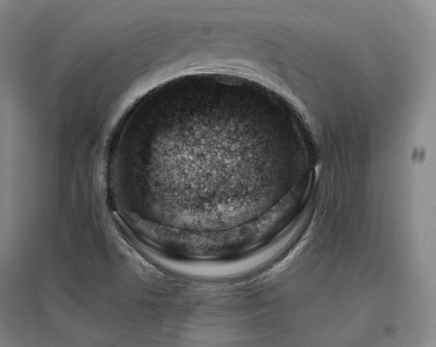 X0000095901506200801111157