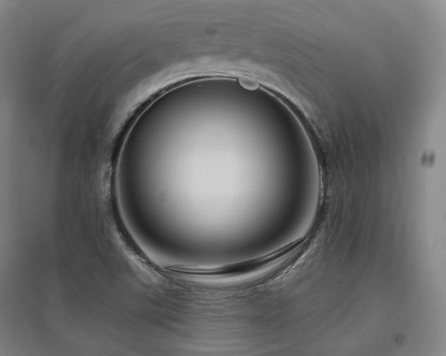X0000095901507200801111157