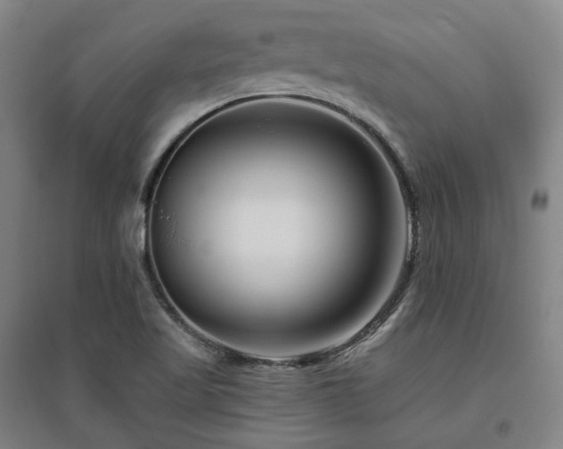 X0000095901509200801111157