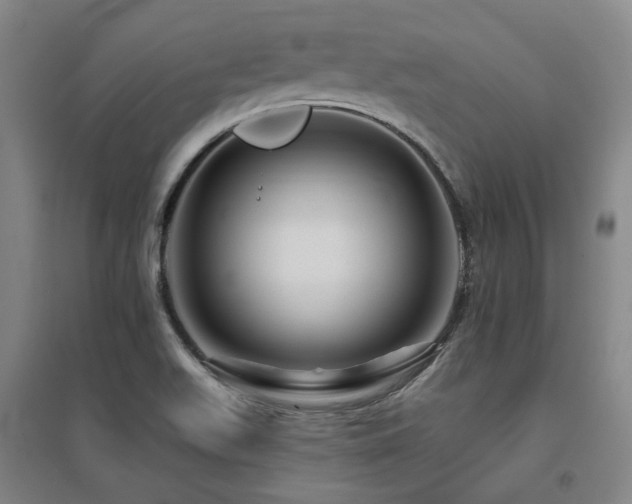 X0000095901511200801111157