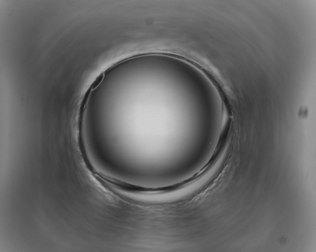 X0000095901512200801111157
